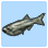 Anchovy
