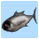 Tuna