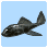 Vampire Fish