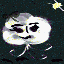 030